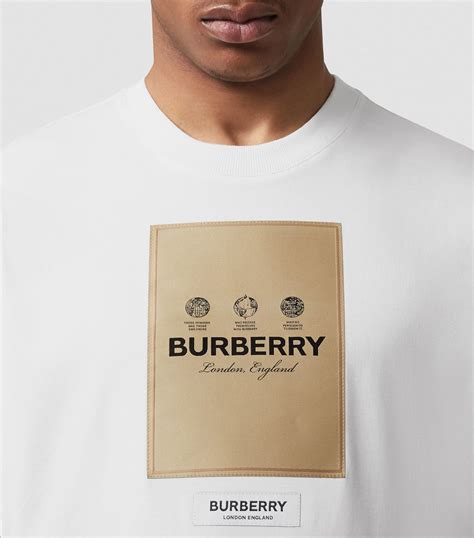 burberry t shirt homme|Burberry t shirt men's sale.